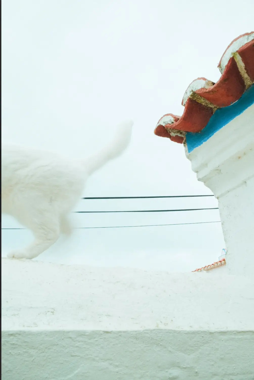 Scherm­afbeelding 2025-03-23 om 18.53.21